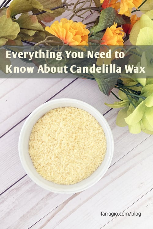 pin_candeillawax_1000x1500_01