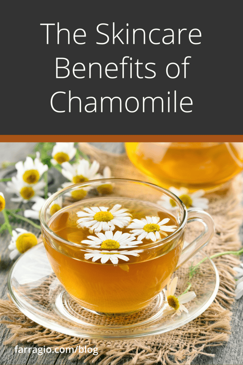 pin_chamomiletea_1000x1500_01